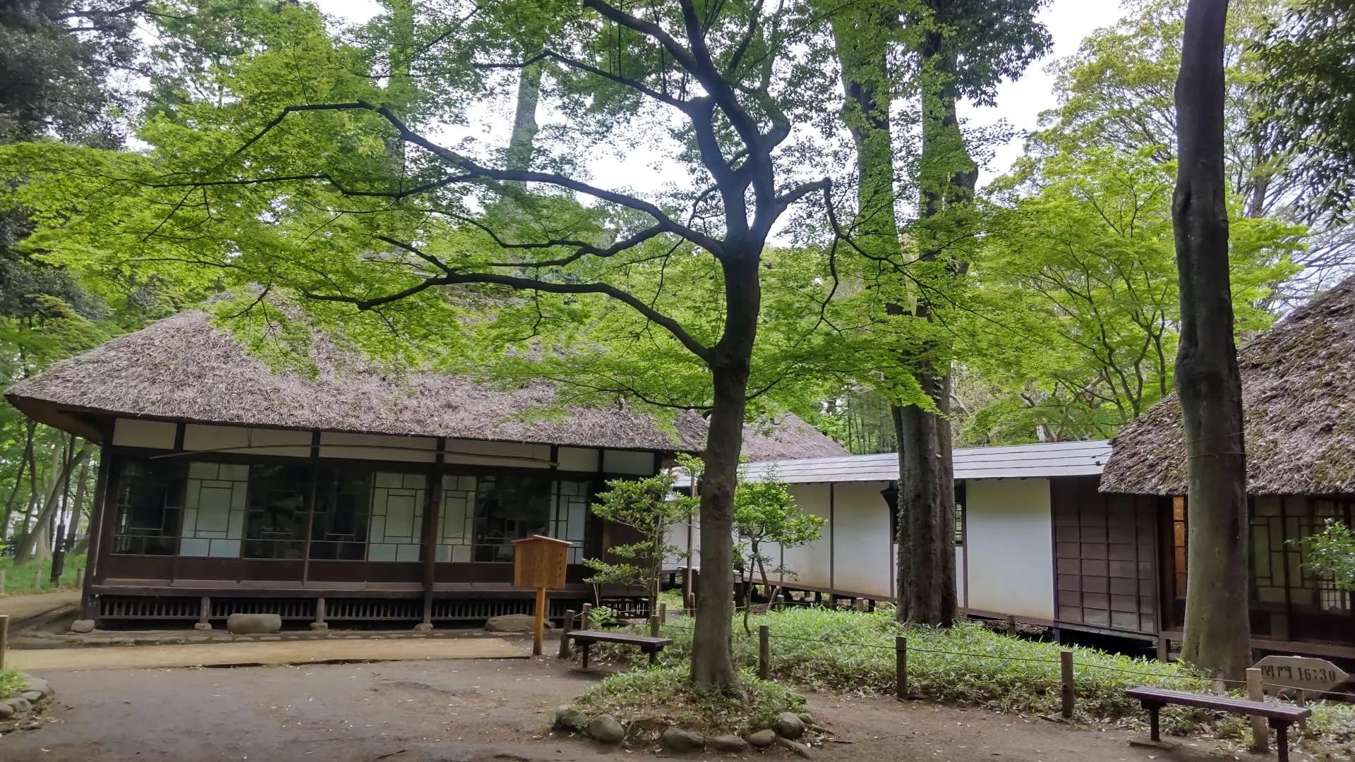 🌳 갈대꽃 늘봄 동산(로카코슌엔)